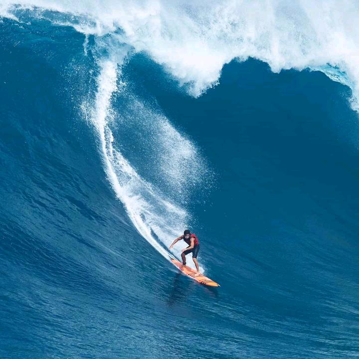 沧海行