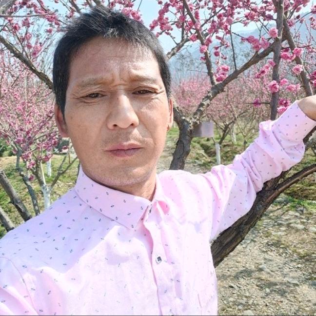 巧笑清晰