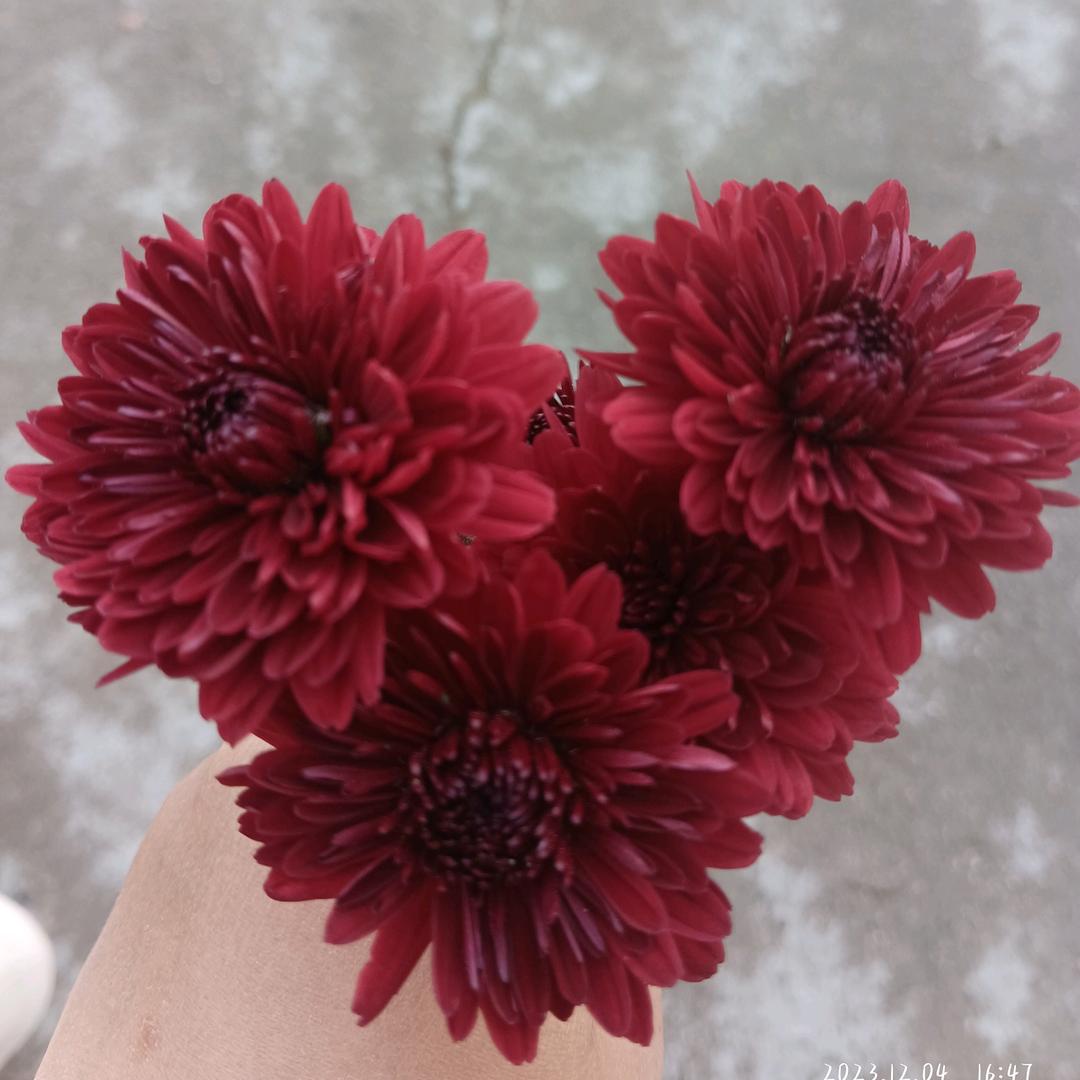 -人心会暖会凉@