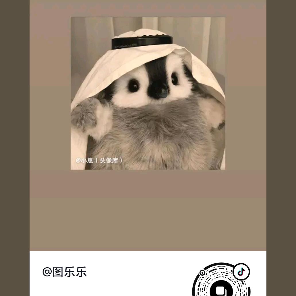 图乐乐