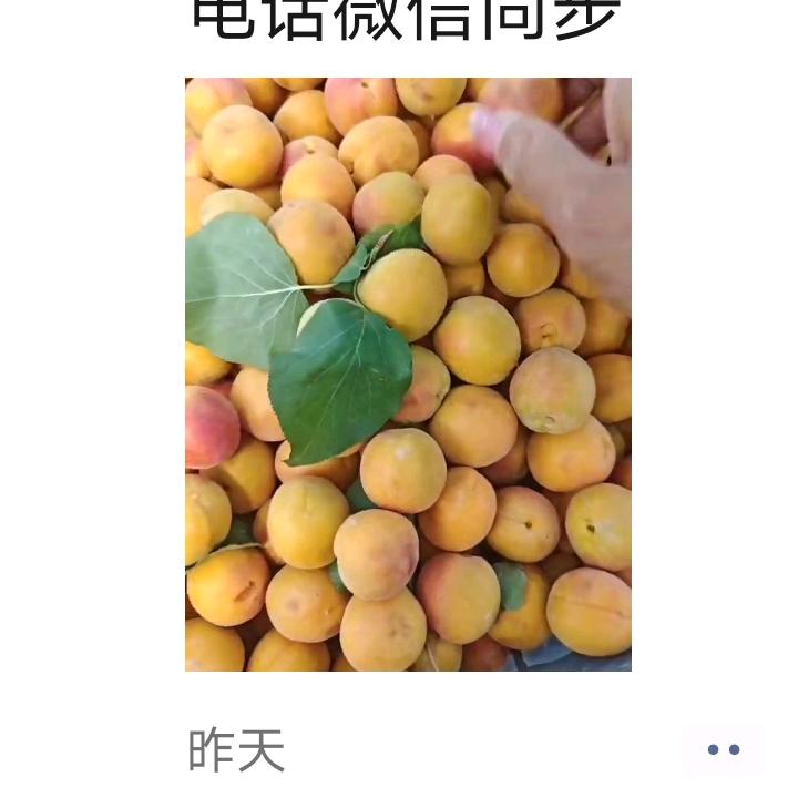 老赵🍎🍎🍎