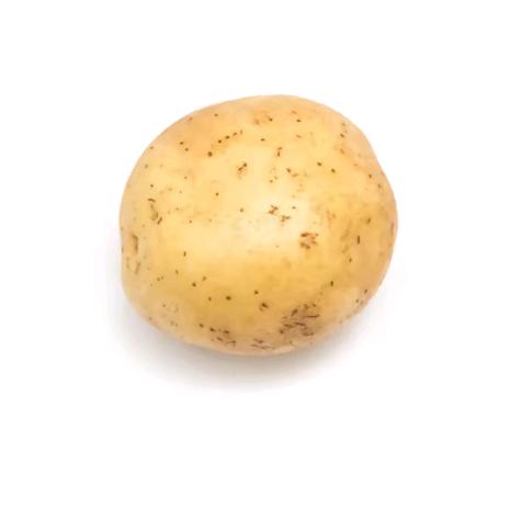 土豆公主大殿下
