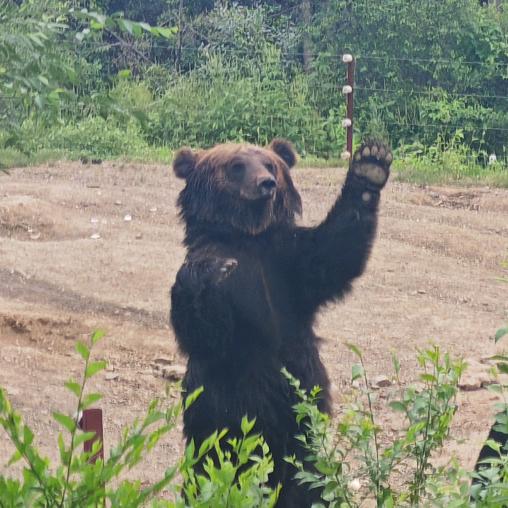 🍺不凉用你买啥