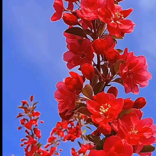 顺其自然