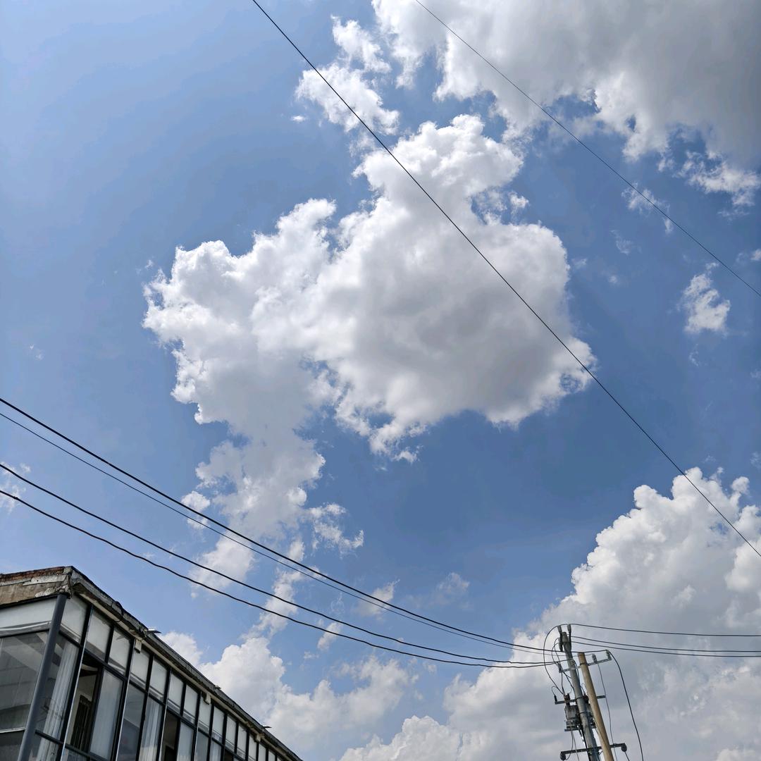 敬我余生不悲欢