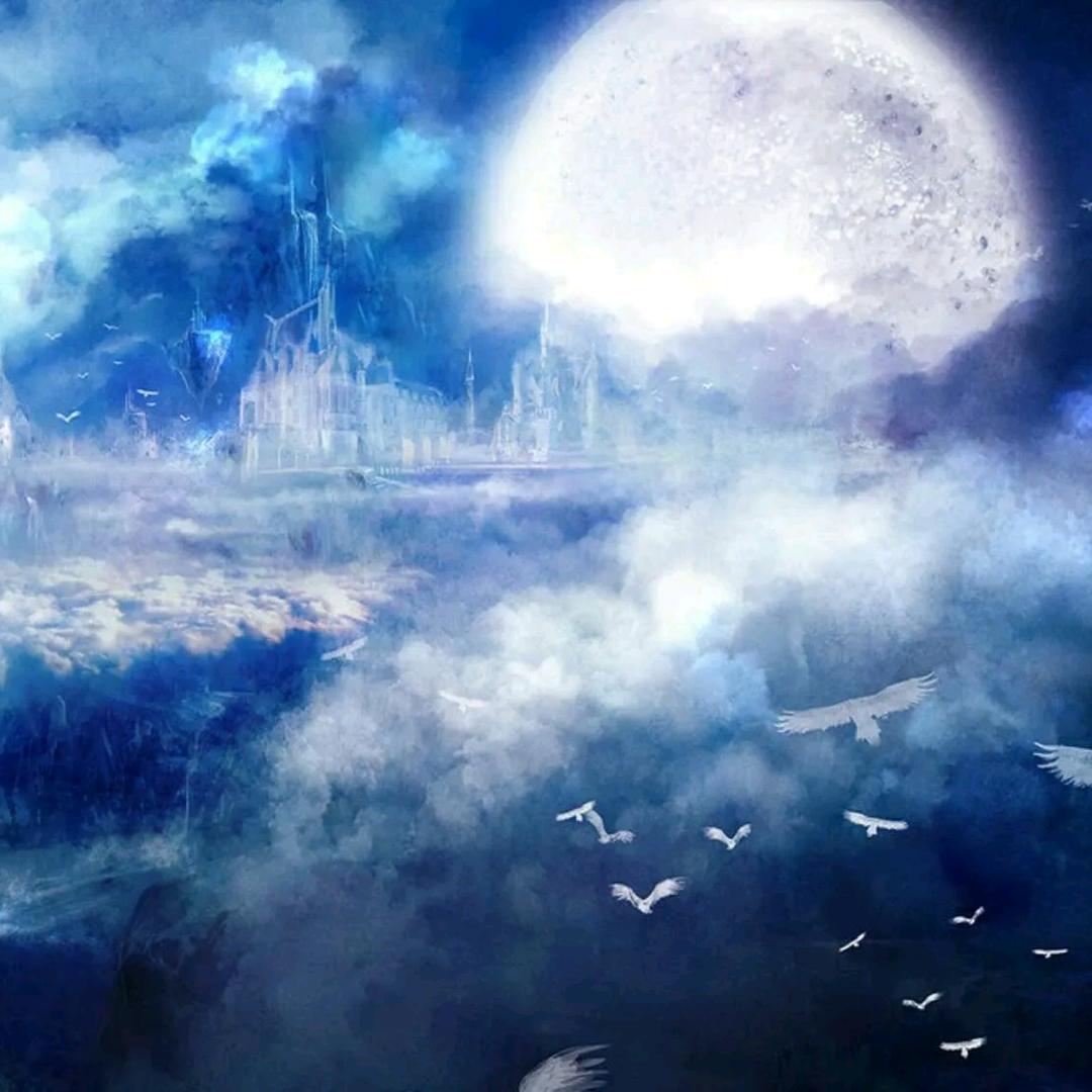 月下浅酌𝐲𝒔🐾🧸.