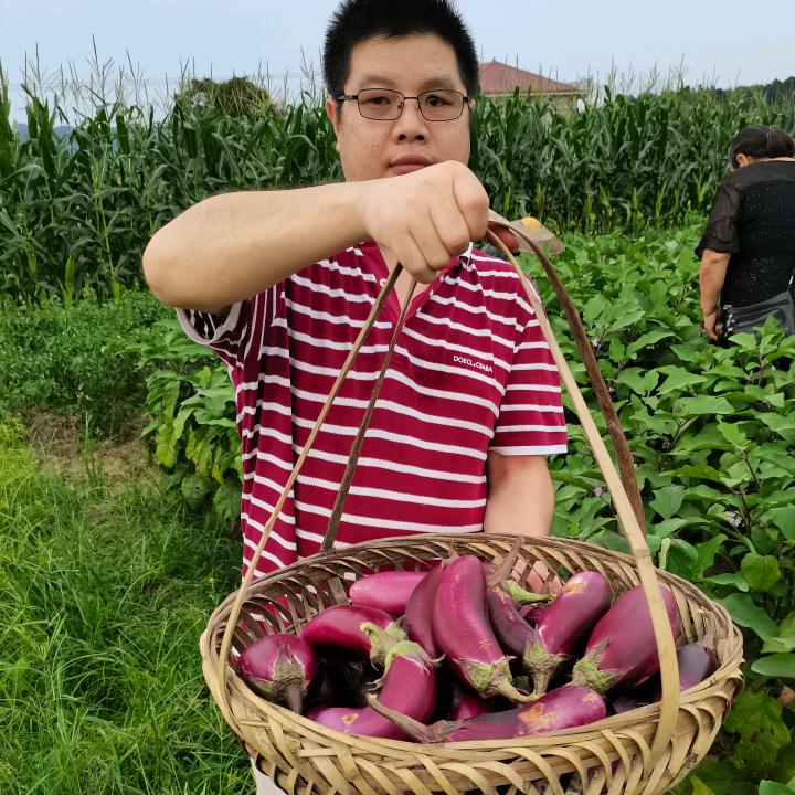 老罗的菜园子
