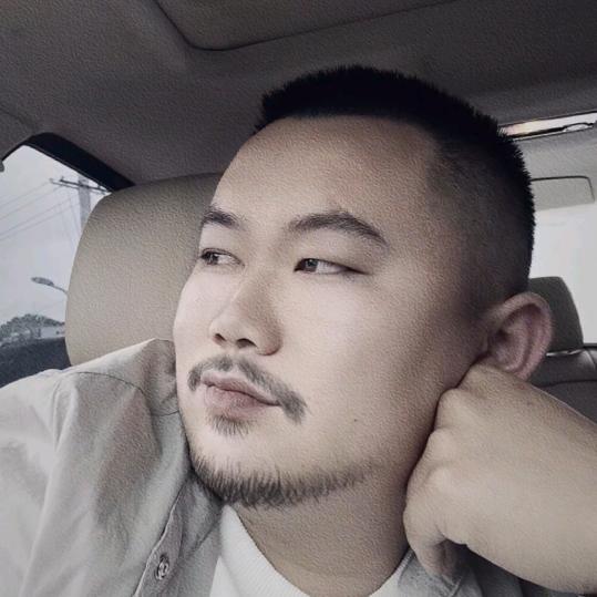 刘小林（卷土重来）