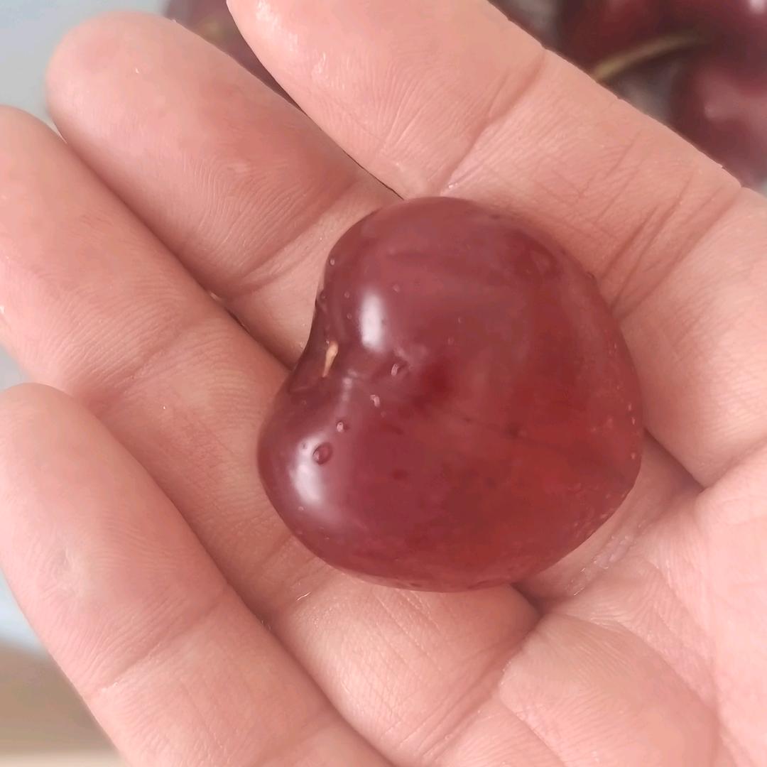 暗恋岛城  销售矿山输送带