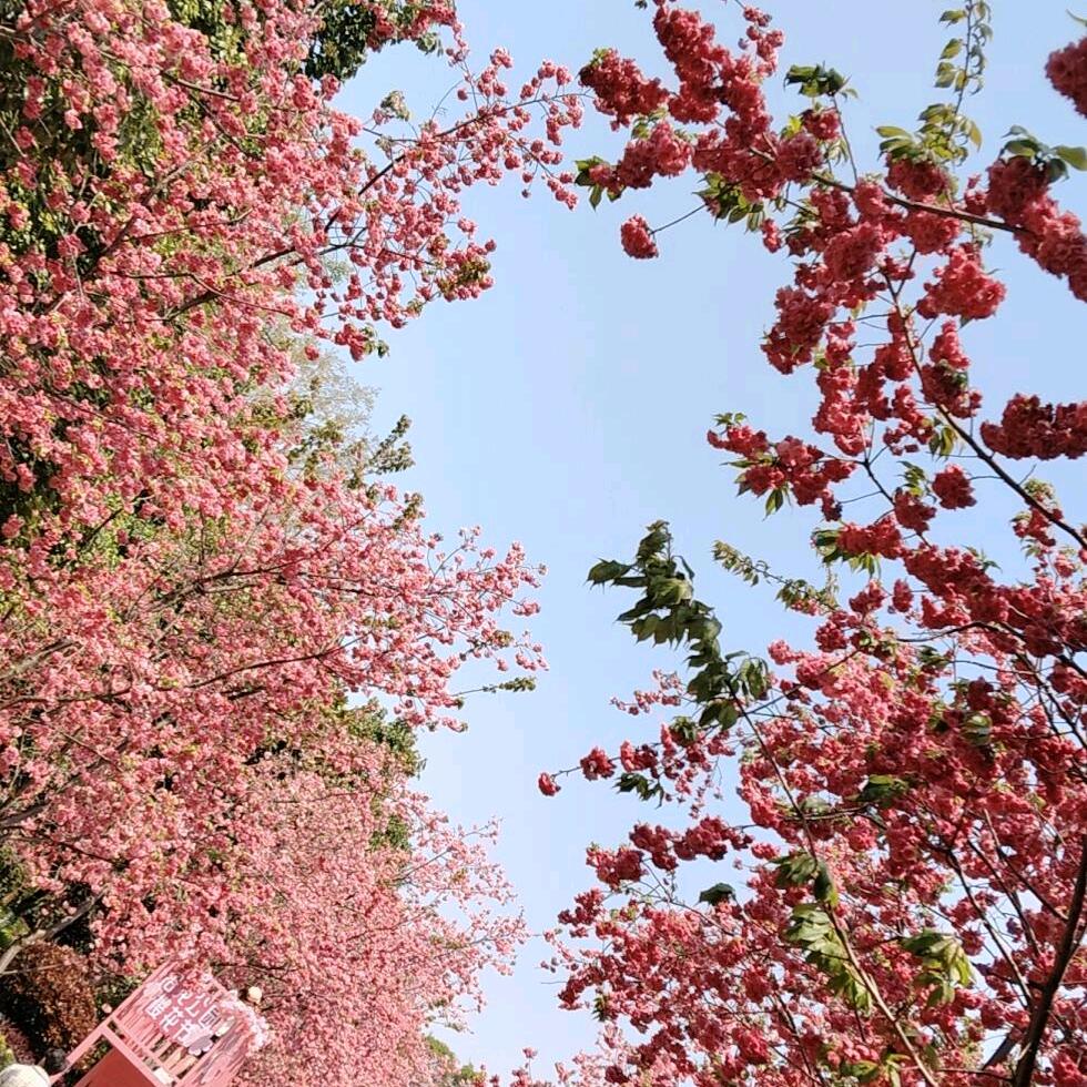 💞慧妹💞