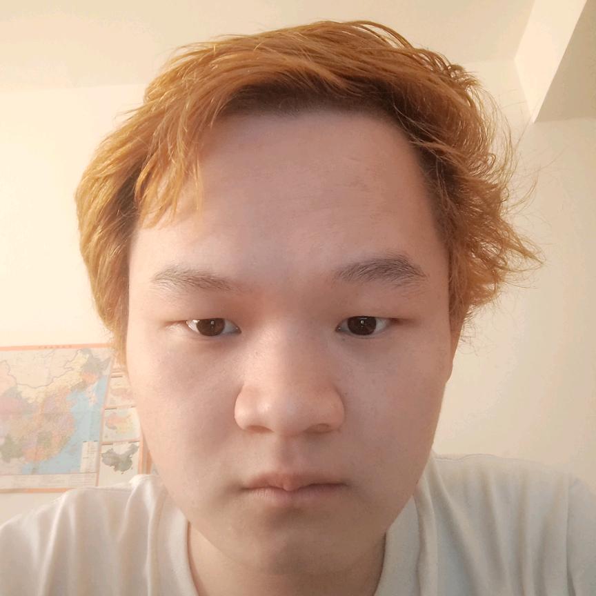 抽象金钱豹