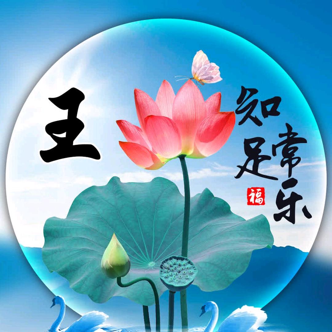 风从海上来
