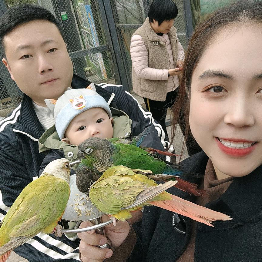 馨妹脱温鸡
