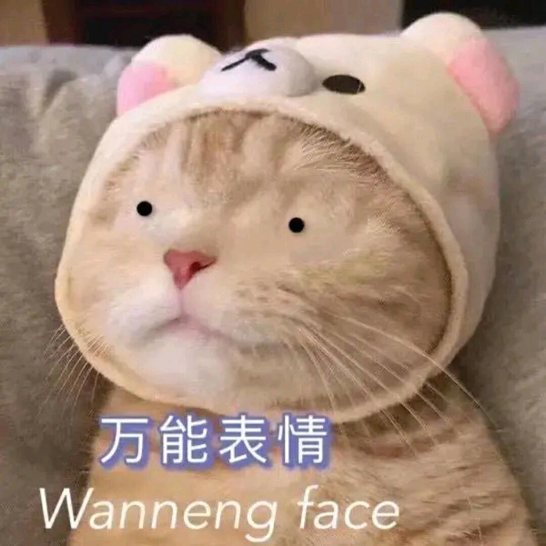 寄几7饭