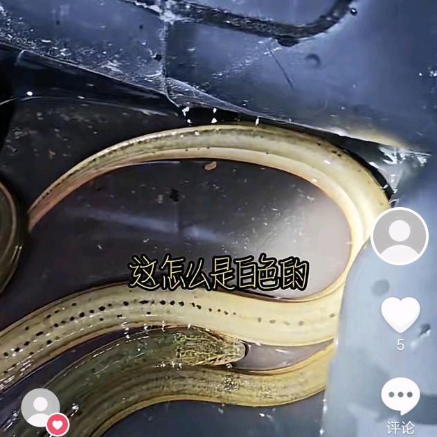 111