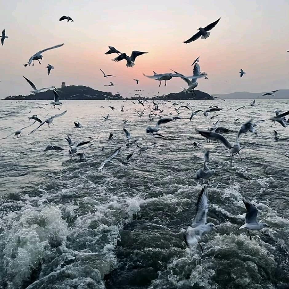 王.