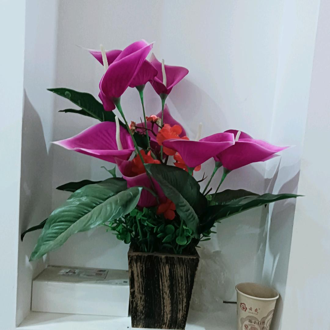 何大姐