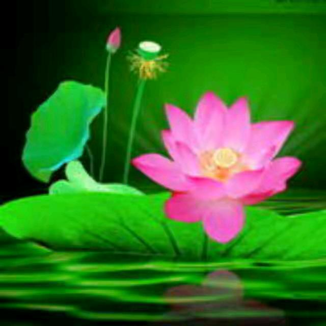 一切随缘，拒绝私聊