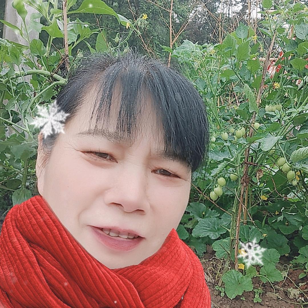 @《蛋蛋仔》