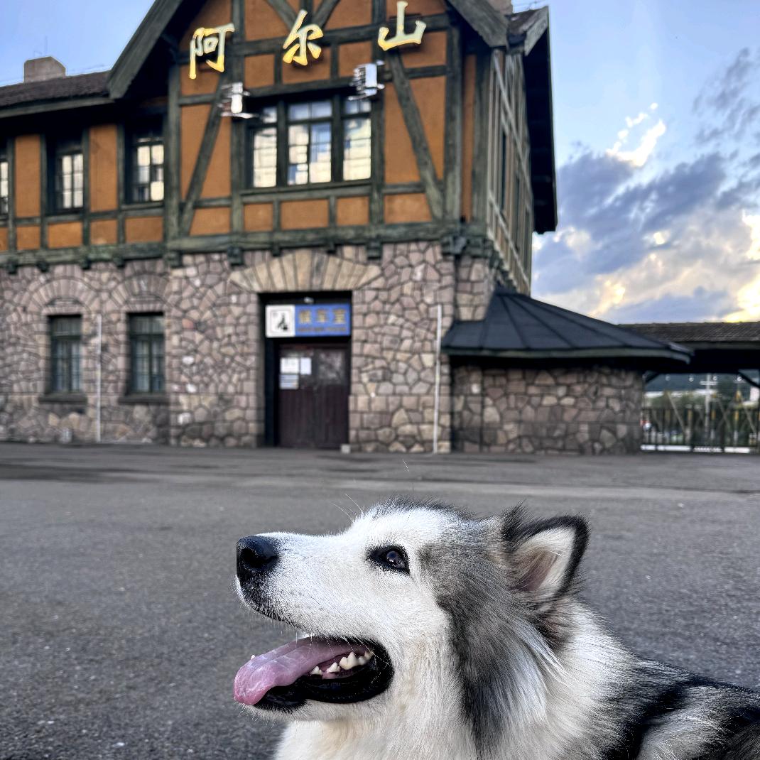💛多喝鹤顶红