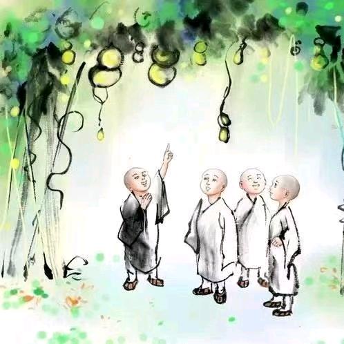 莲花🪷座下的菩提