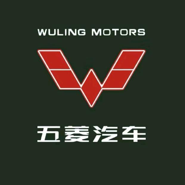 五菱汽车新能源
