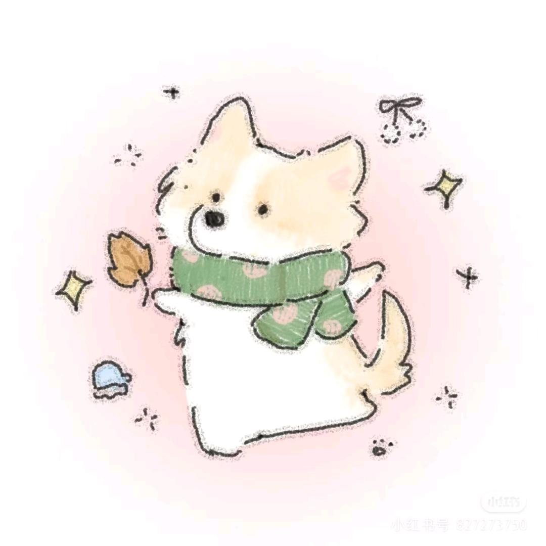 读风