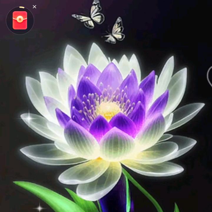 🌻挚爱一生 💫