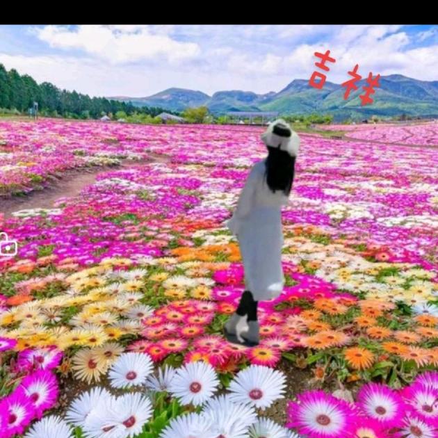 紫霞阿妹