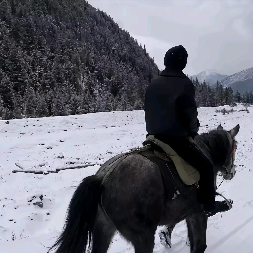 何先森