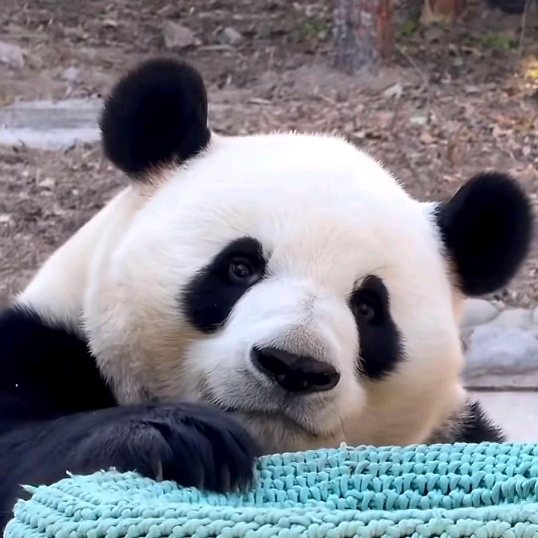 🌈如果那年🍭🍭🍭