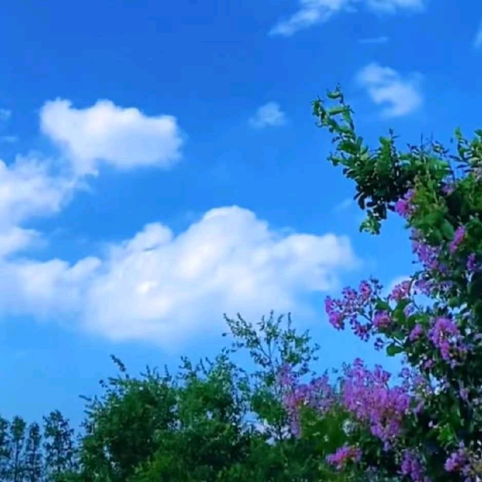 燃燃
