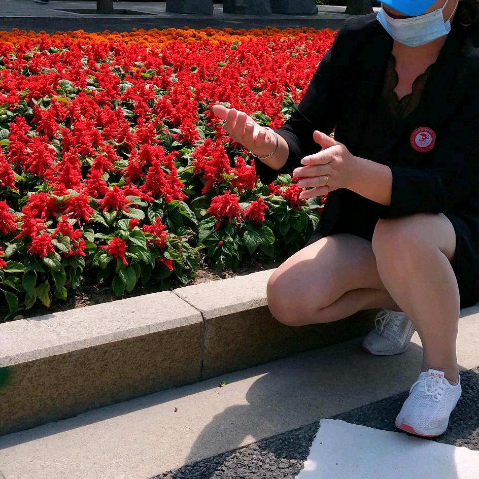 春去冬来