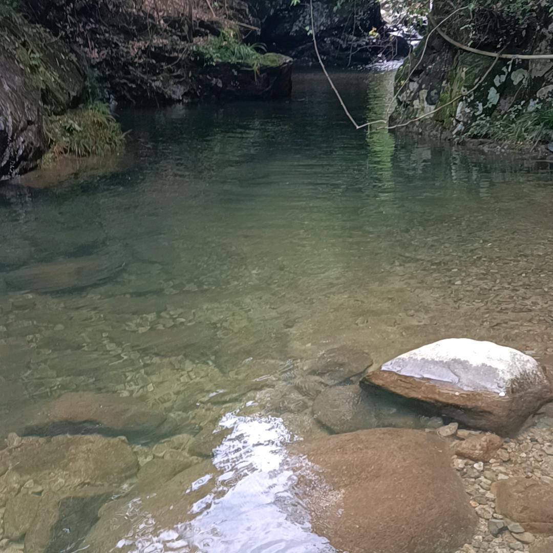 删除记忆11