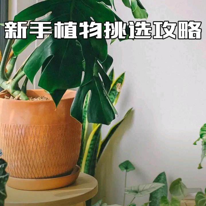 永远的心