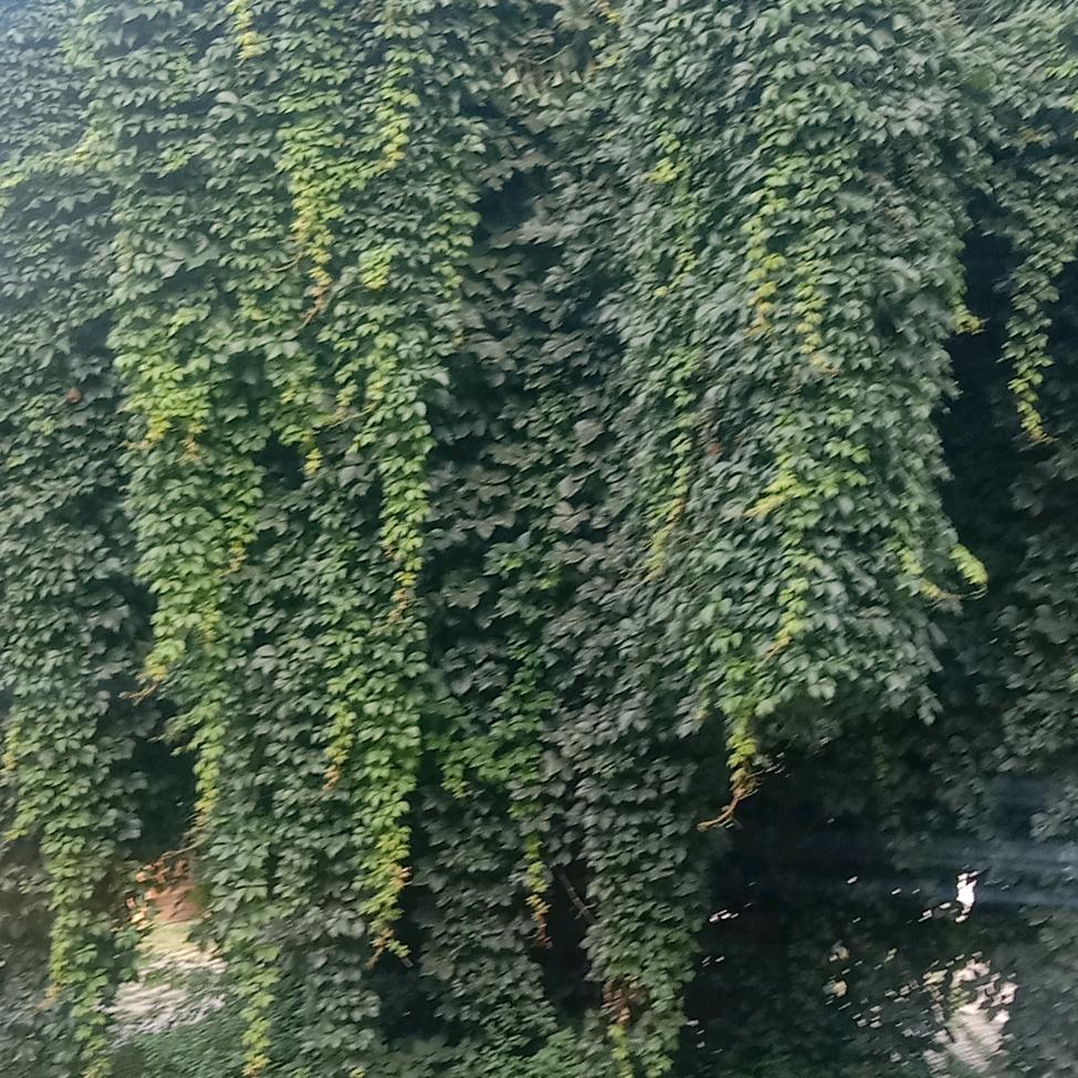 我要走出大山去看外面的世界