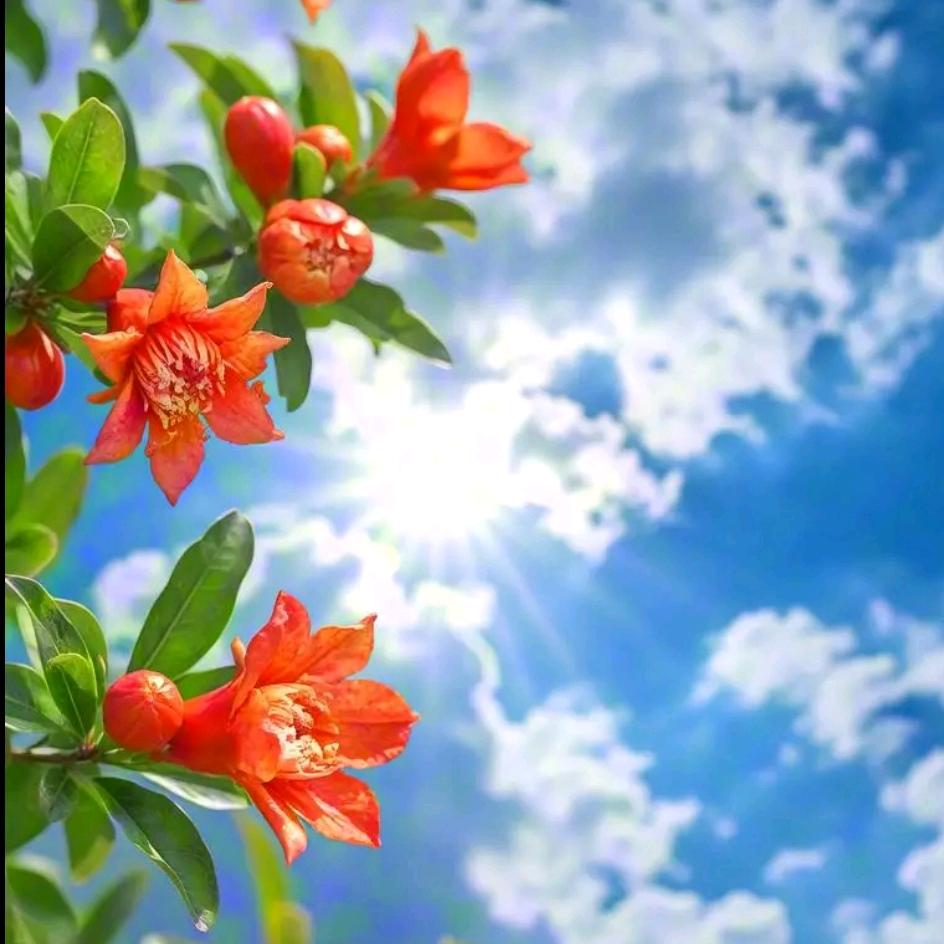 春阳美容美发⛳⛳🏆🏆陌陂镇