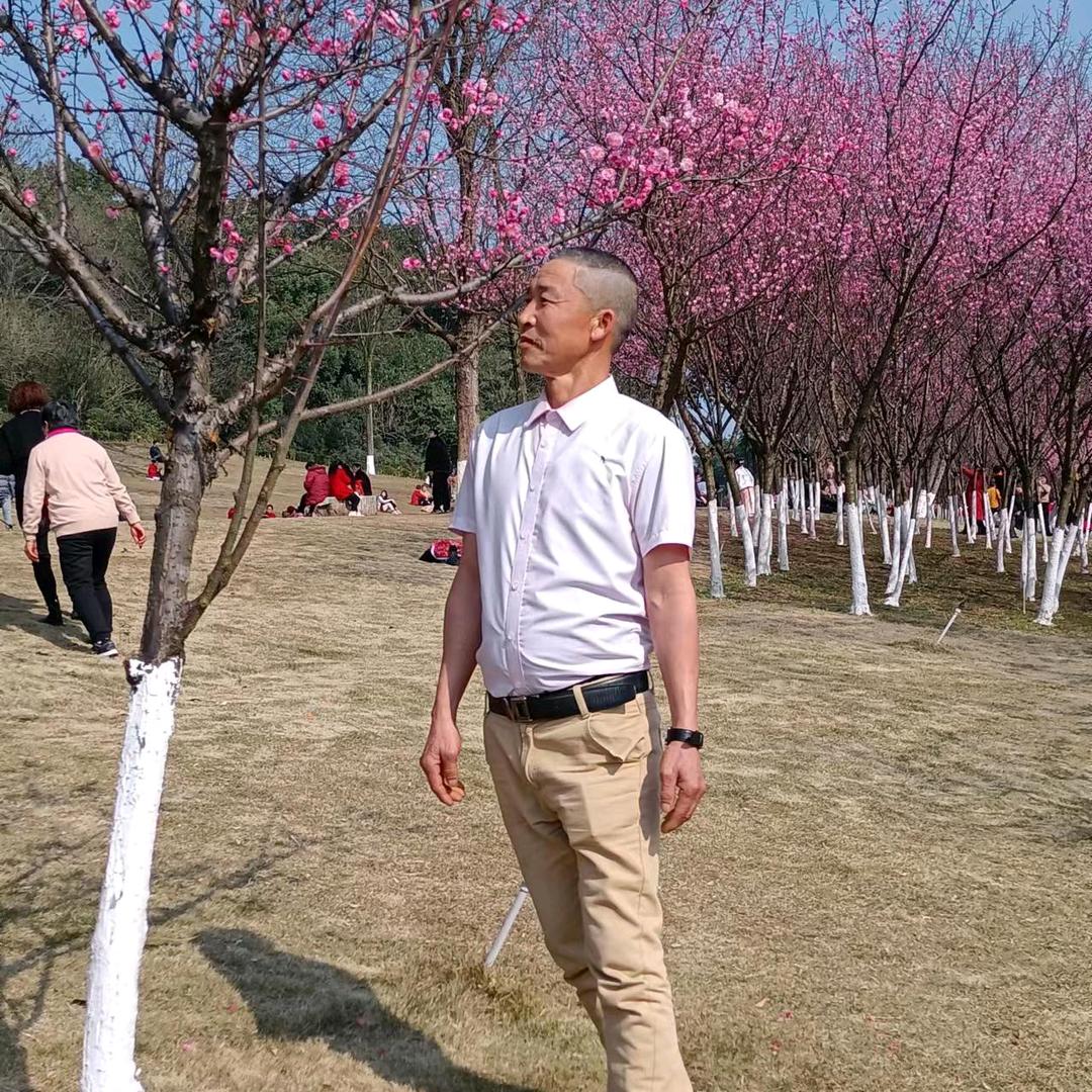 六零后单身。你的世界我退出