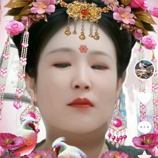 小燕子.i