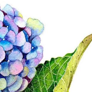 f浅绿色情人节快乐