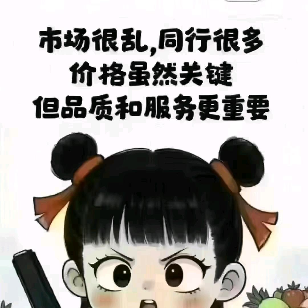 鹏姐（考证-审证）