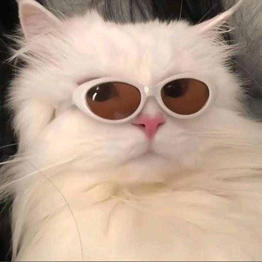 笙笙