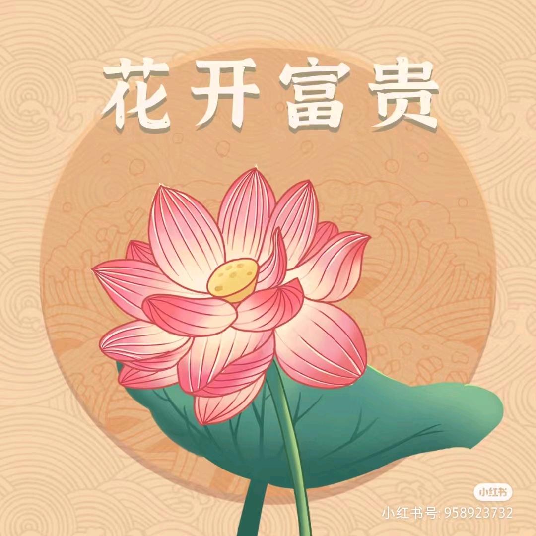 云姨的农家生活