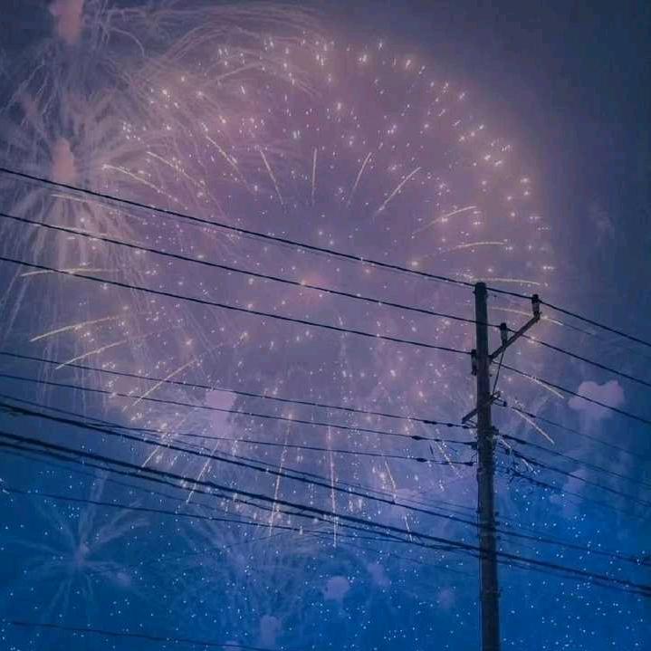 摆烂人生