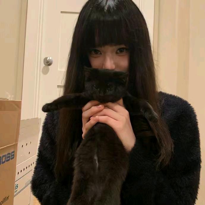 Y‥