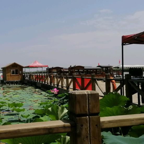 爱吃辣椒的小猪猪