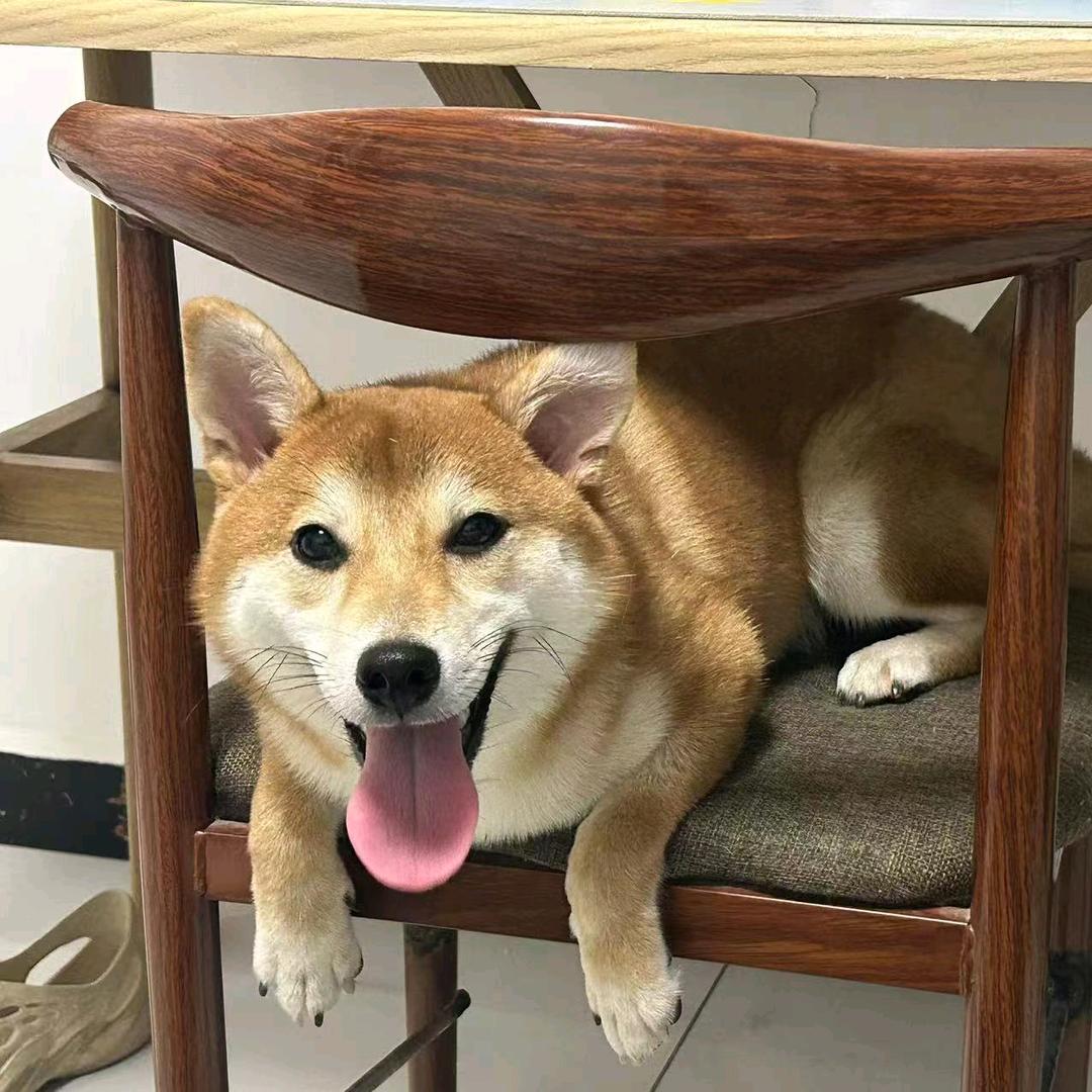 🌈蛋黄粑粑