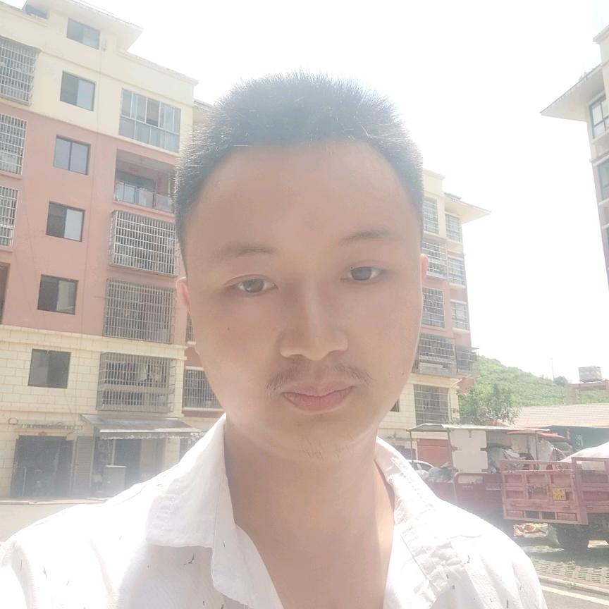 小鹏斗鸡