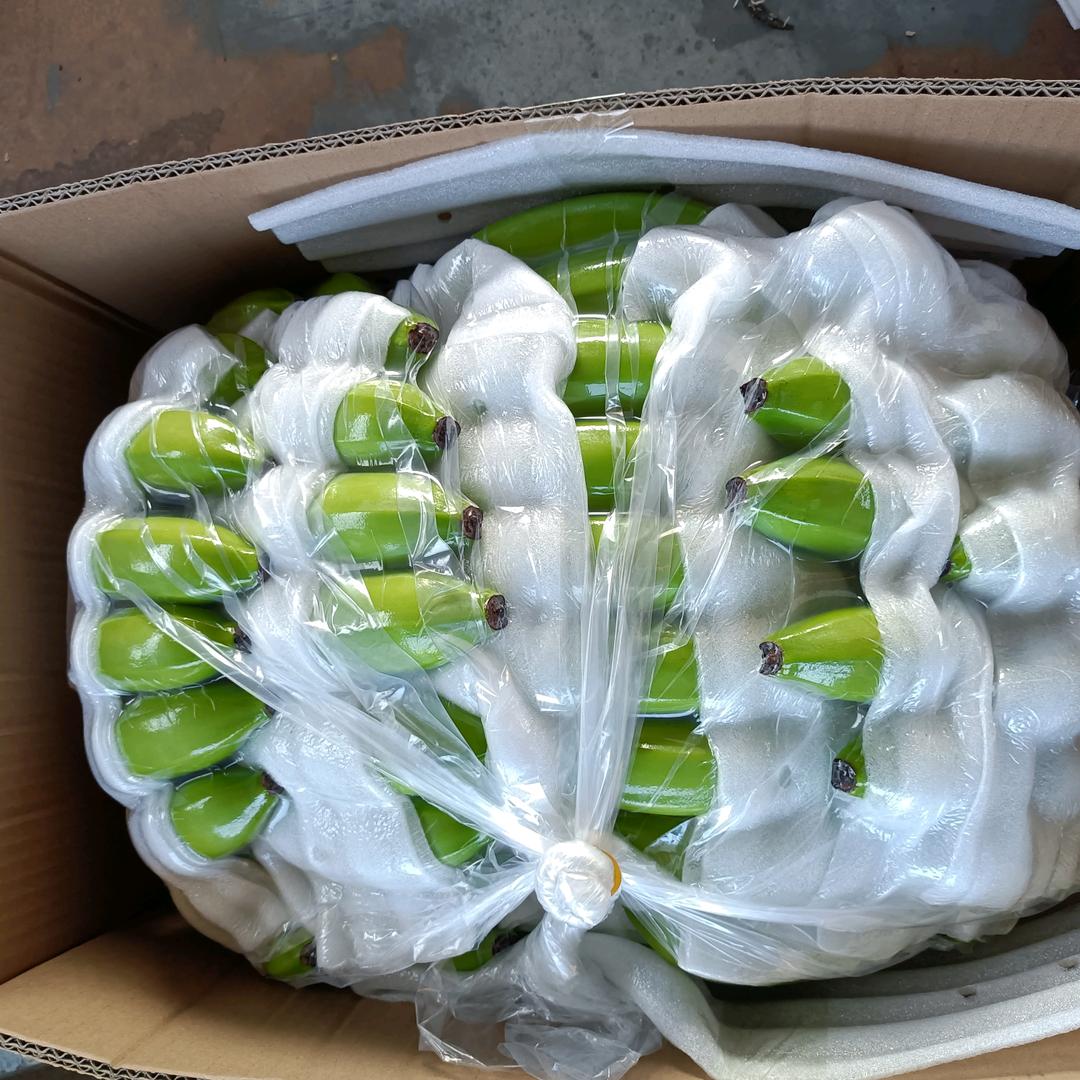 美呈装工队长小罗