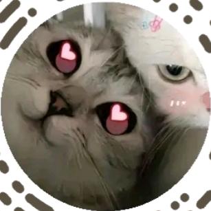 不能吃一点辣 　　　　   　╲